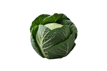 Obraz premium Fresh green cabbage head against transparent background