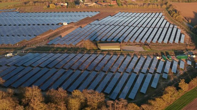 Aerial view of Tye Lane Solar farm displaying rows of angled solar panels contrasting with the surrounding earth tones, Ipswich, United Kingdom.