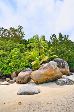 Huge granite stones near the white sandy beach, lush forest at cap ternay, Mahe, Seychelles