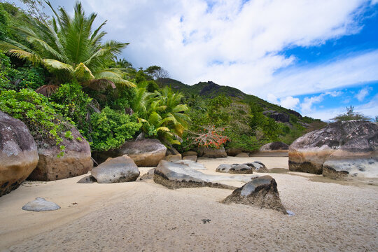 Huge granite stones near the white sandy beach, lush forest at cap ternay, Mahe, Seychelles