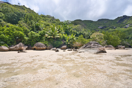 Low tide, lush landscape, granites stones, white sandy beach at cap ternay, Mahe, Seychelles