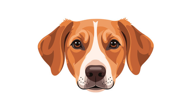 Detailed portrait of a loyal hound dog face with floppy ears and a gentle expression isolated on a clean white background.