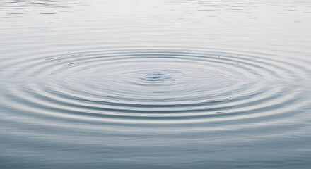 Fototapeta premium Water ripples concentric waves and calm surface
