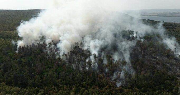 Drone perspective devastating wildfire burning woodland smoke. Ecological catastrophe global warming climate emergency. Nature destruction forest fire environmental disaster scene.