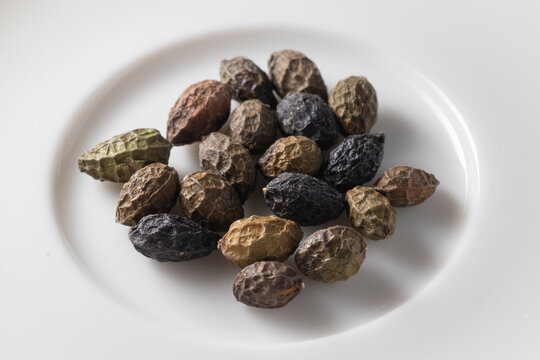 brucea javanica - Macassar kernels
