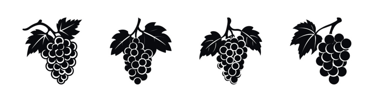 Black Grapevine Silhouette Vector Icons Set