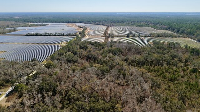 Aerial view of extensive solar panel arrays glinting under the sun, bordered by dense woodlands and open fields, Elkton, Florida, United States.