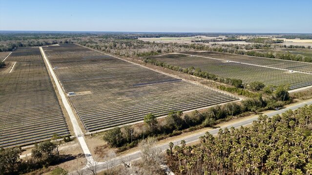 Aerial view of rows of solar panels stretch across the landscape contrasting with the blue sky and green tree line, Elkton, Florida, United States.