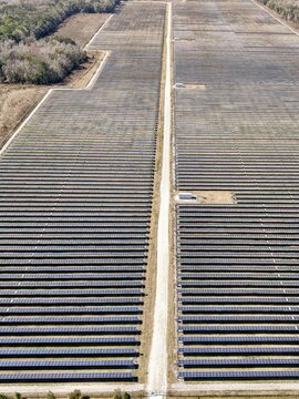 Aerial view of vast solar panel array stretching across the landscape, a stark contrast to the bordering trees, Elkton, Florida, United States.