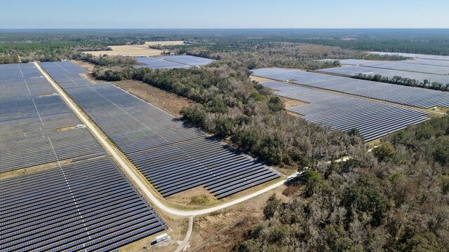 Aerial view of vast solar panel arrays gleaming under the sun's embrace, contrasting with the rustic textures of the surrounding woodlands, Elkton, Florida, United States.