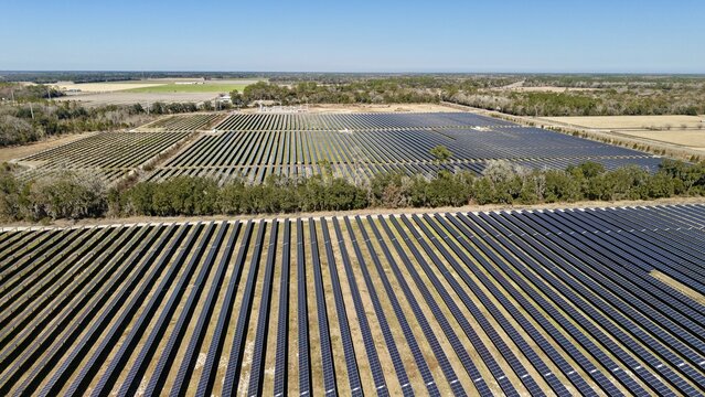 Aerial view of rows upon rows of solar panels stretch across the landscape, glinting under the sunlight, Elkton, Florida, United States.