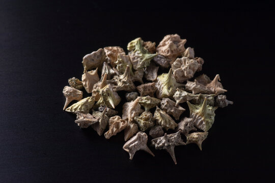 Tribulus taiwanense - Bindii