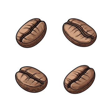 Four Roasted Coffee Beans Isolated on White Background 34.