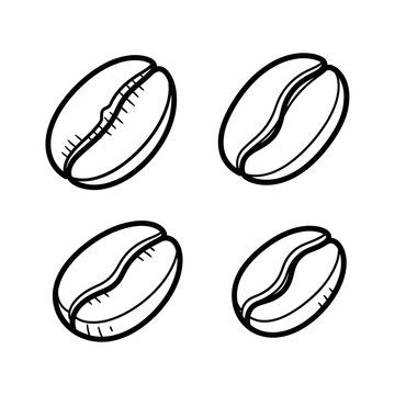 Handdrawn illustration of coffee beans.