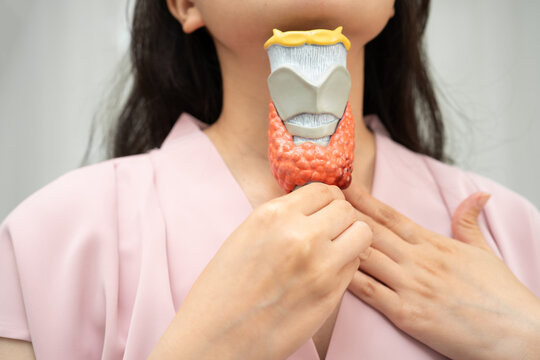 Hyperthyroidism, Overactive Thyroid, Thyroid Lymphoma, Asian woman with thyroid gland human anatomy model.