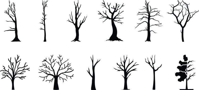 A set of silhouettes of trees on white background. 