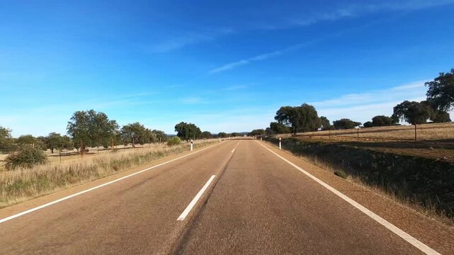 Carefree camper travel perspective driving through sunny countryside road, enjoying van life vacation freedom. POV from vehicle exploring nature route with empty asphalt, blue sky and summer outdoor l