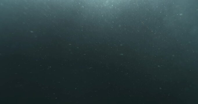 Cinematic 4K underwater footage captured from the POV of a deep-sea ROV drone, drifting through a vast, atmospheric water column filled with floating particles, soft light rays, and immersive depth&mdash;pe