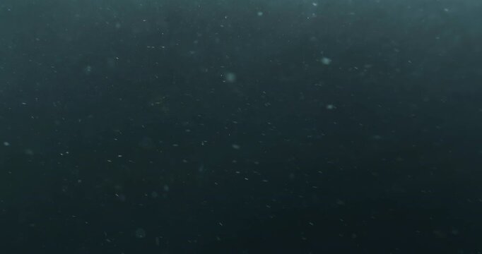 Cinematic 4K underwater footage captured from the POV of a deep-sea ROV drone, drifting through a vast, atmospheric water column filled with floating particles, soft light rays, and immersive depth&mdash;pe