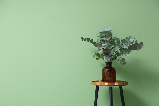 Vase with eucalyptus twigs on stool near green wall in room