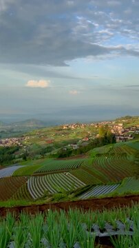 Nepal van Java Dusun Butuh village on Mount Sumbing at sunrise