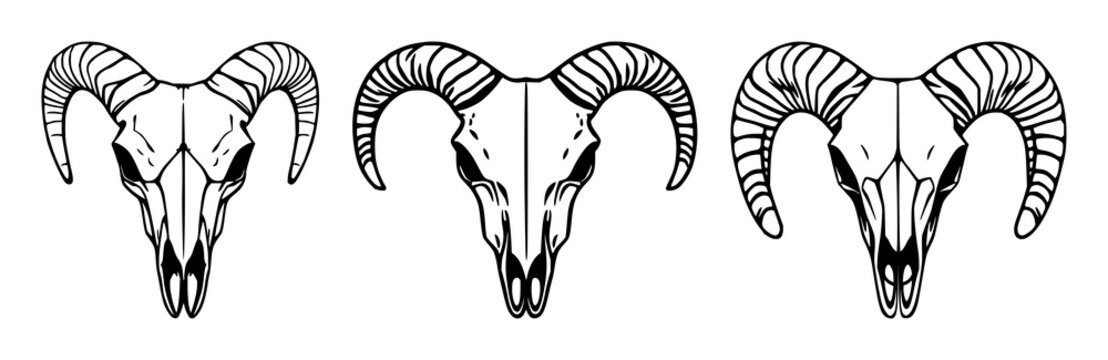 Ram skull set with minimalist line art style featuring animal, head, skeleton with tribal and tattoo design