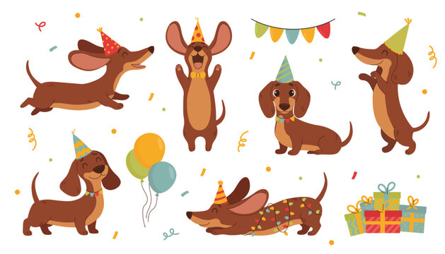 Cute dachshund dogs birthday party set with balloons, gifts and confetti. Vector illustration