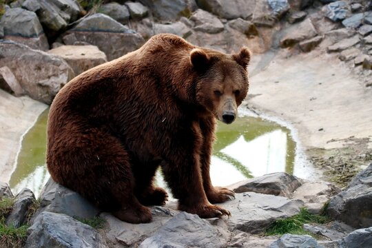 ours