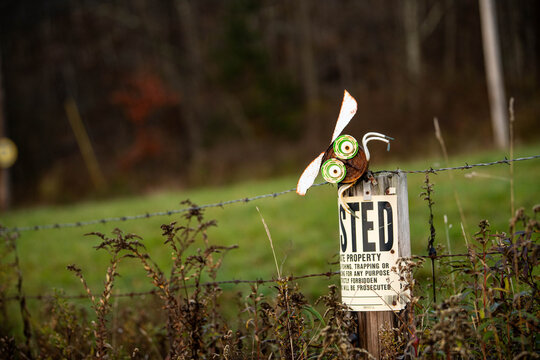 A whimsical, kooky decorative garden ornament on a post stands near a rural "Posted" property sign surrounded by wildflowers, mixing folk yard art with country property life.