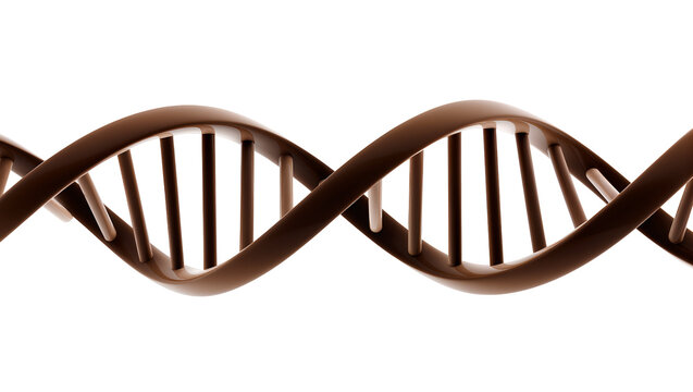 Brown metallic DNA helix structure, displaying double strand genetic code