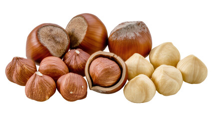 Fototapeta premium Assorted whole hazelnuts, displaying varied textures and shapes