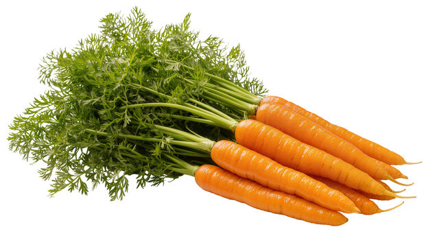 Fresh orange carrots with vibrant green fronds, arranged in a rustic pile