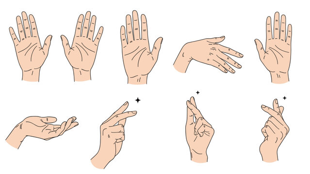 Anatomical sketches of human hands showing different gestures including open palms pointing and crossing fingers in a realistic drawing style.