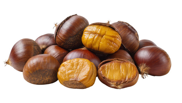 Pile of roasted chestnuts displaying spiky shells, revealing golden edible insides
