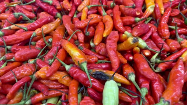 Stack of various types of fresh chilies are sold in supermarkets. Rich of vitamin C. Red, green and yellow chili peppers. Hot spicy food ingredient.