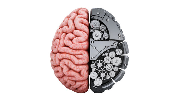 Pink human brain merging with intricate silver clockwork mechanism, representing intelligence