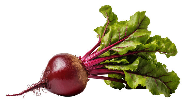 Deep purple beet root with vibrant green leaves, displaying earthy texture and fresh produce