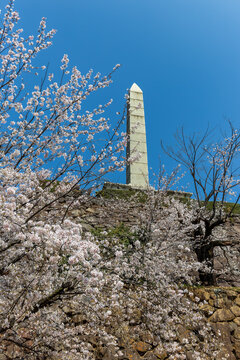 Pink sakura flowers framing a stone monument and ancient walls under a blue sky