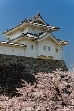 Historic white castle tower on stone wall with blooming cherry trees