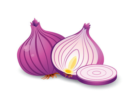 Red onion whole and sliced vector illustration.