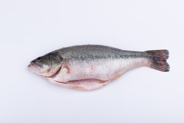 Obraz premium Fresh sea bass ingredients