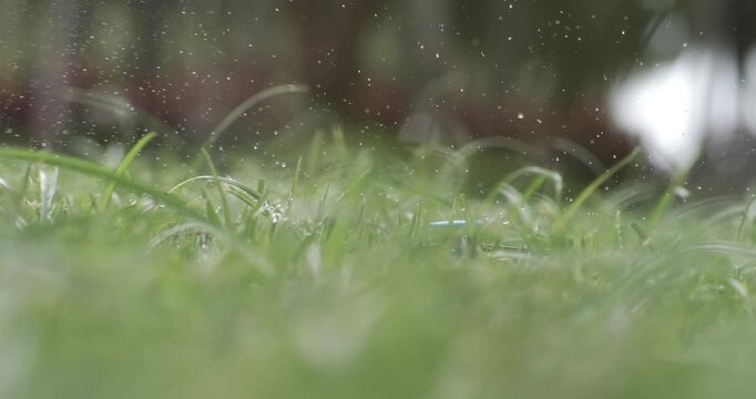 Golf club hits a white golf ball in a super slow motion. Drops of morning dew and grass particles rise into the air after the impact. Shot on super slow motion camera 1000 fps.
