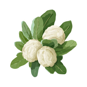 Flat-design 2D vector artwork of a Lambs Quarters, styled as an icon and isolated against white background