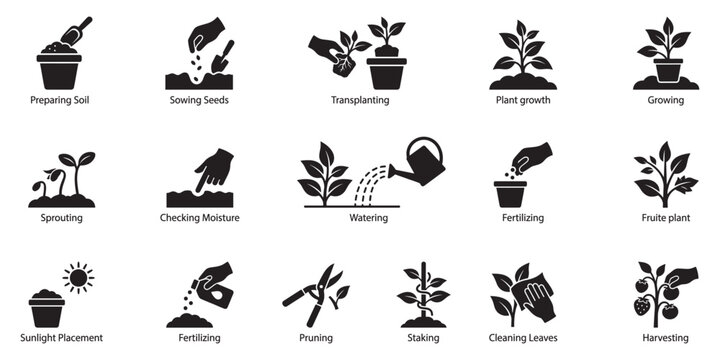 Gardening process and plant growing stages step by step icon set. Vector Illustration. EPS 10