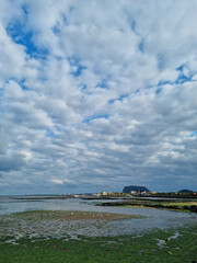 The Jeju sea is full of cloudy skies and seaweed.