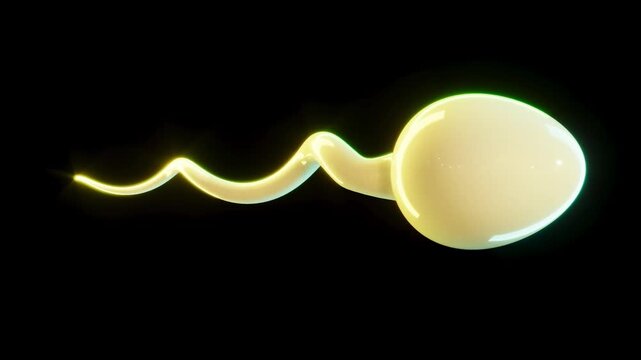 Sperm cell science medical bg able to loop endless 4k