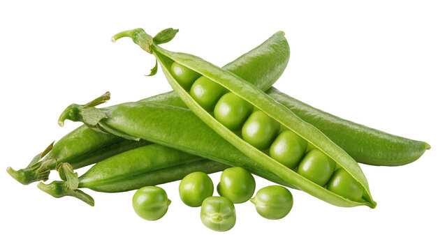 Vibrant green pea pods displaying plump peas, scattered around