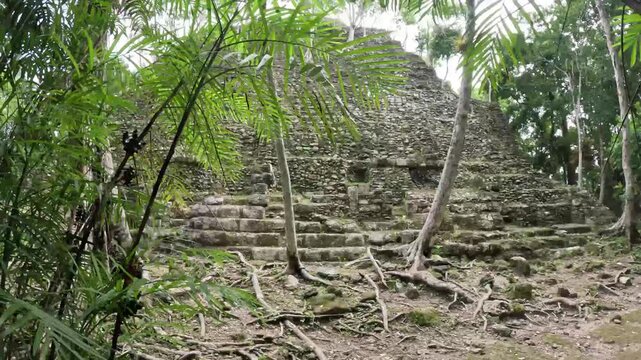 Scenic cinematic footage of La Danta pyramid surrounded by dense rainforest in El Mirador, ancient Mayan archaeological site Guatemala