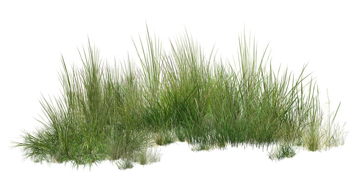 grass isolated on white background/professional-grade isolated grass border, featuring high-definition detail and crisp edges, ideal for landscape design, 3D visualization, and architectural foregroun