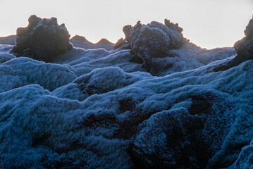 Volcanic rock covered in intricate frost crystals at dawn Iceland